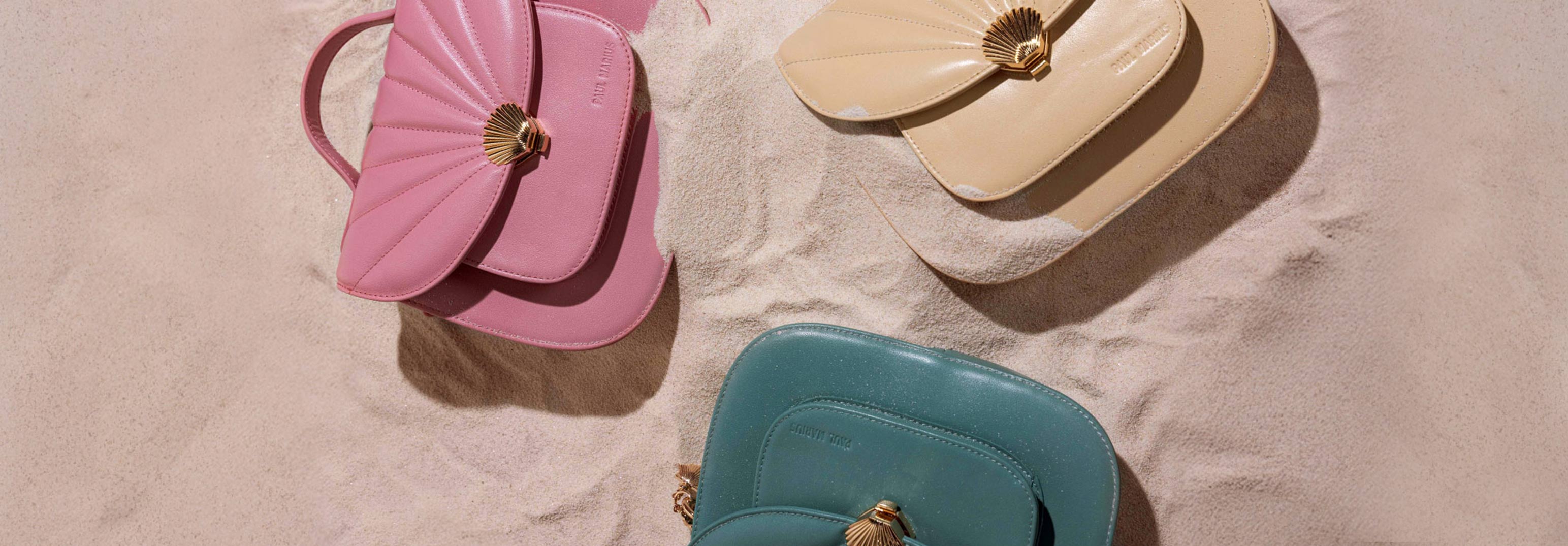 Coquillage Coquillage