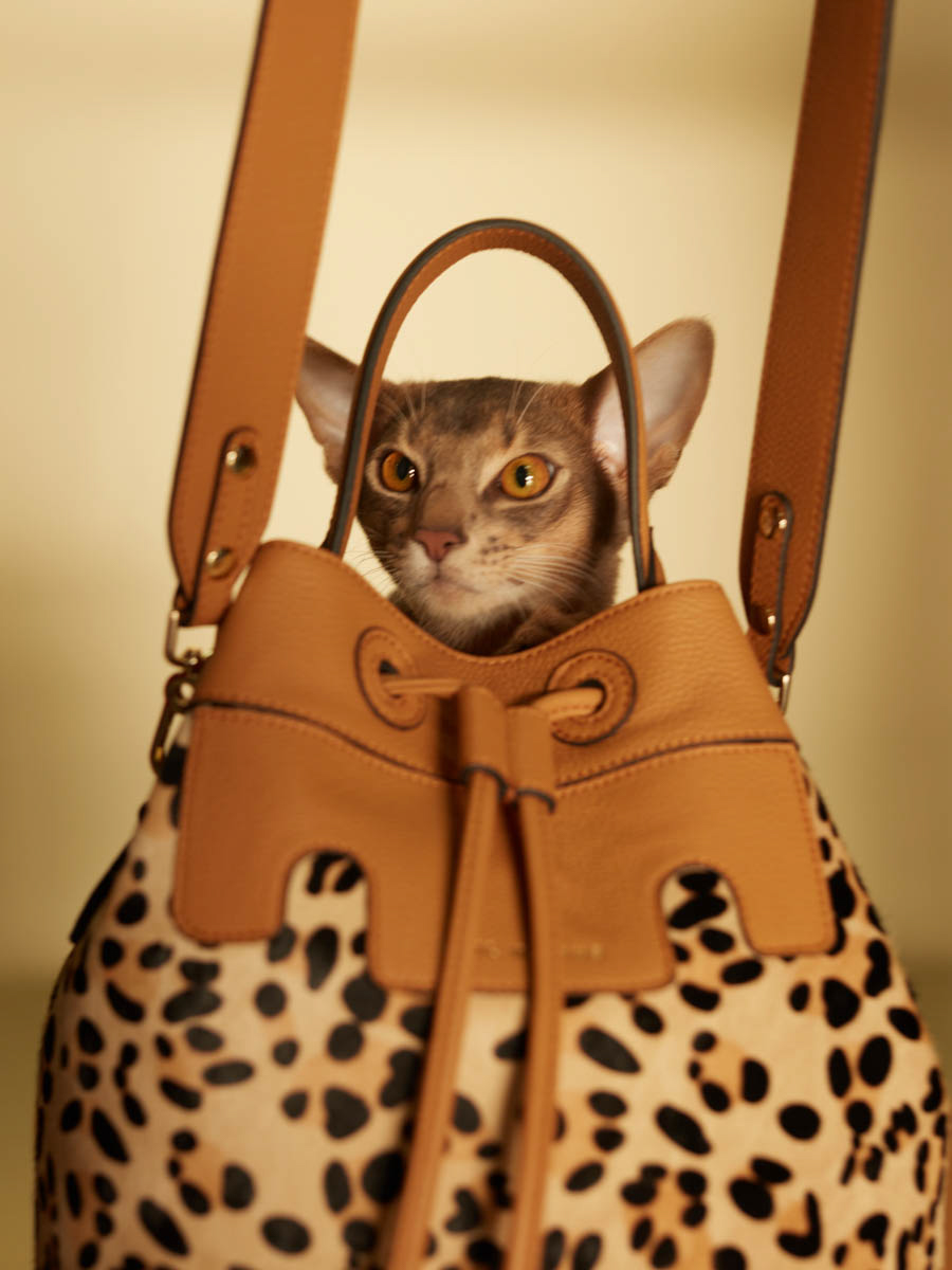bucket-bag-leather-capucine-leopard-beige-ambient-view-w39-lp-bei