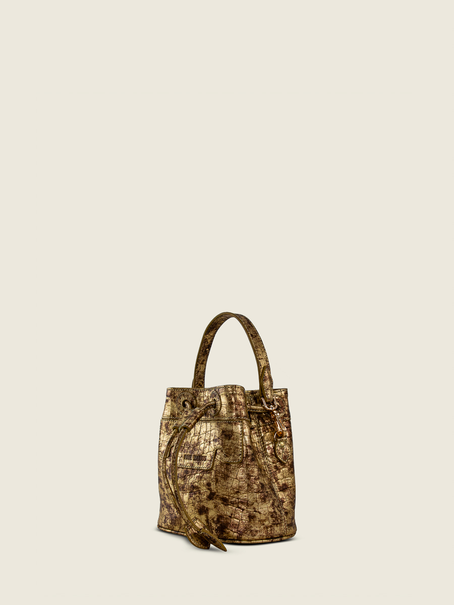 mini-bucket-bag-capucine-xs-bijoux-gold-back-view-picture-w39xs-cr-db-g