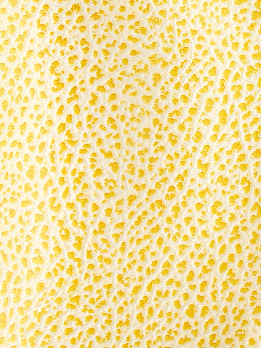 Small yellow leather purse LeGustave - Citronnade focus material photo