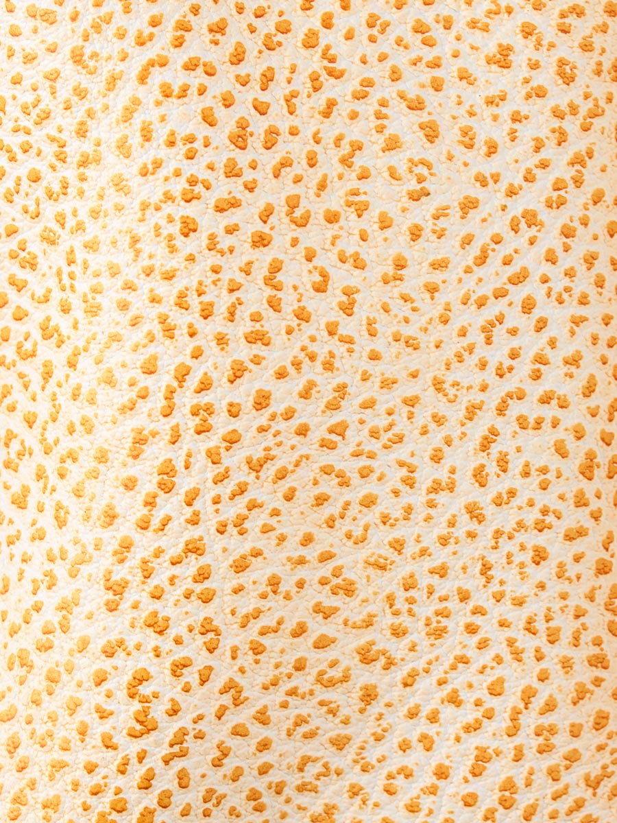 Small orange leather purse LeGustave - Orangeade focus material photo