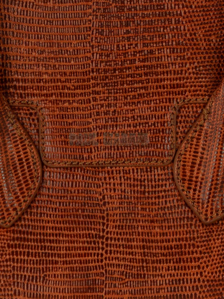 mini-leather-handbag-for-women-brown-focus-material-view-picture-gisele-xs-1960-amber-paul-marius-w32xs-l-l