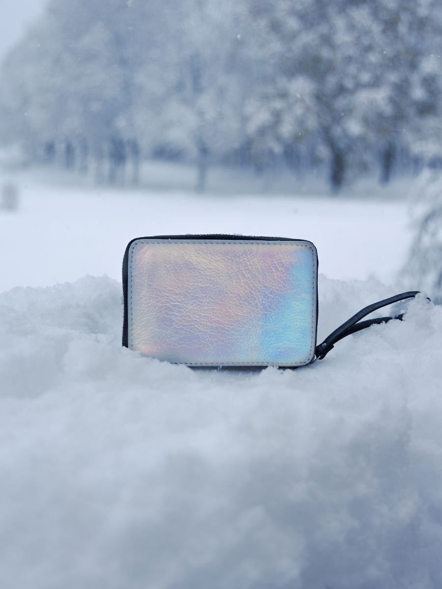 wallet-alice-givre-holographic-black-campaign-view-m76-giv