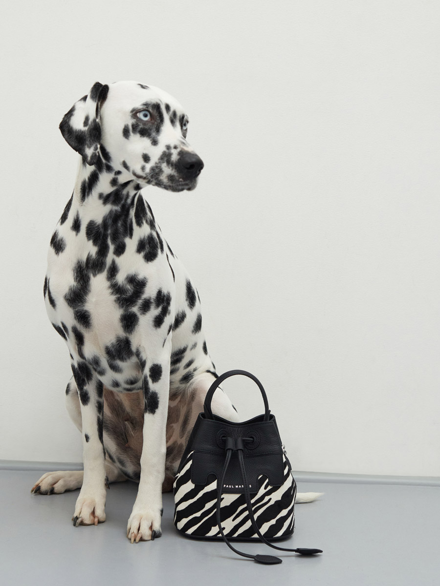 mini-bucket-bag-leather-capucine-xs-black-white-front-view-w39xs-ti-b-w 