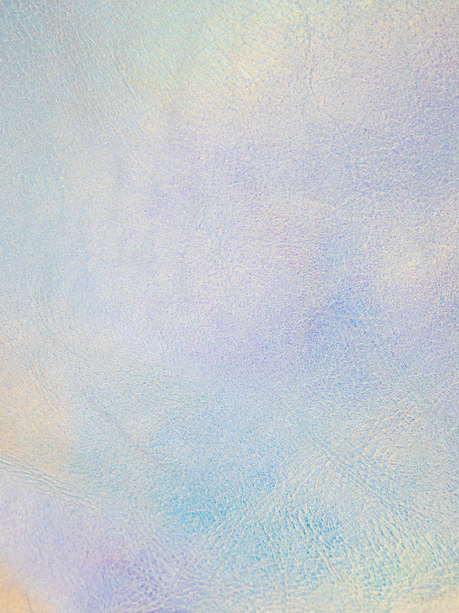 wallet-alice-givre-holographic-black-focus-material-view-m76-giv