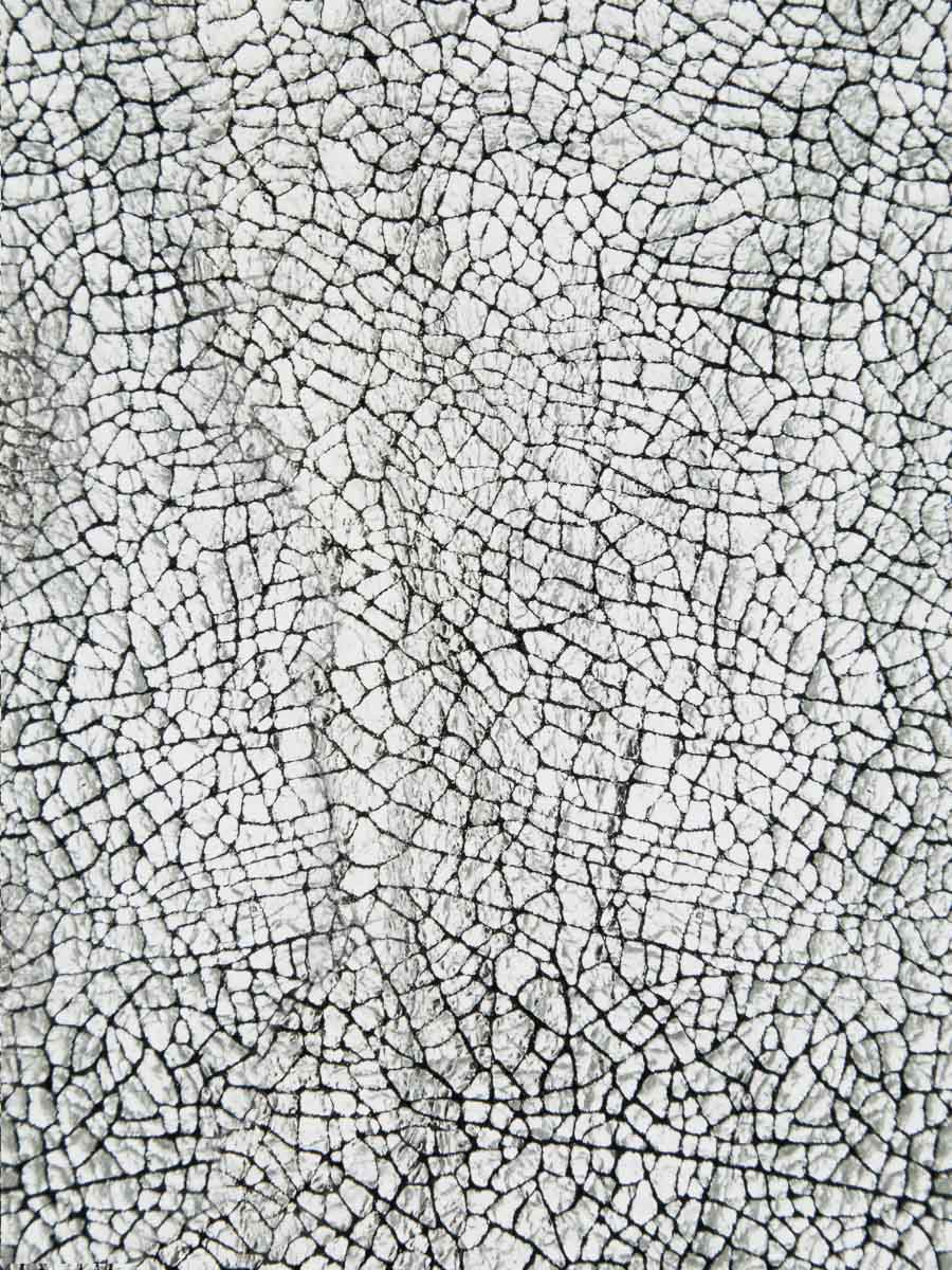 pocket-legustave-m-miroir-silver-focus-material-view-clpm-mir