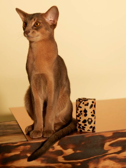 LeGustave Leopard - Beige