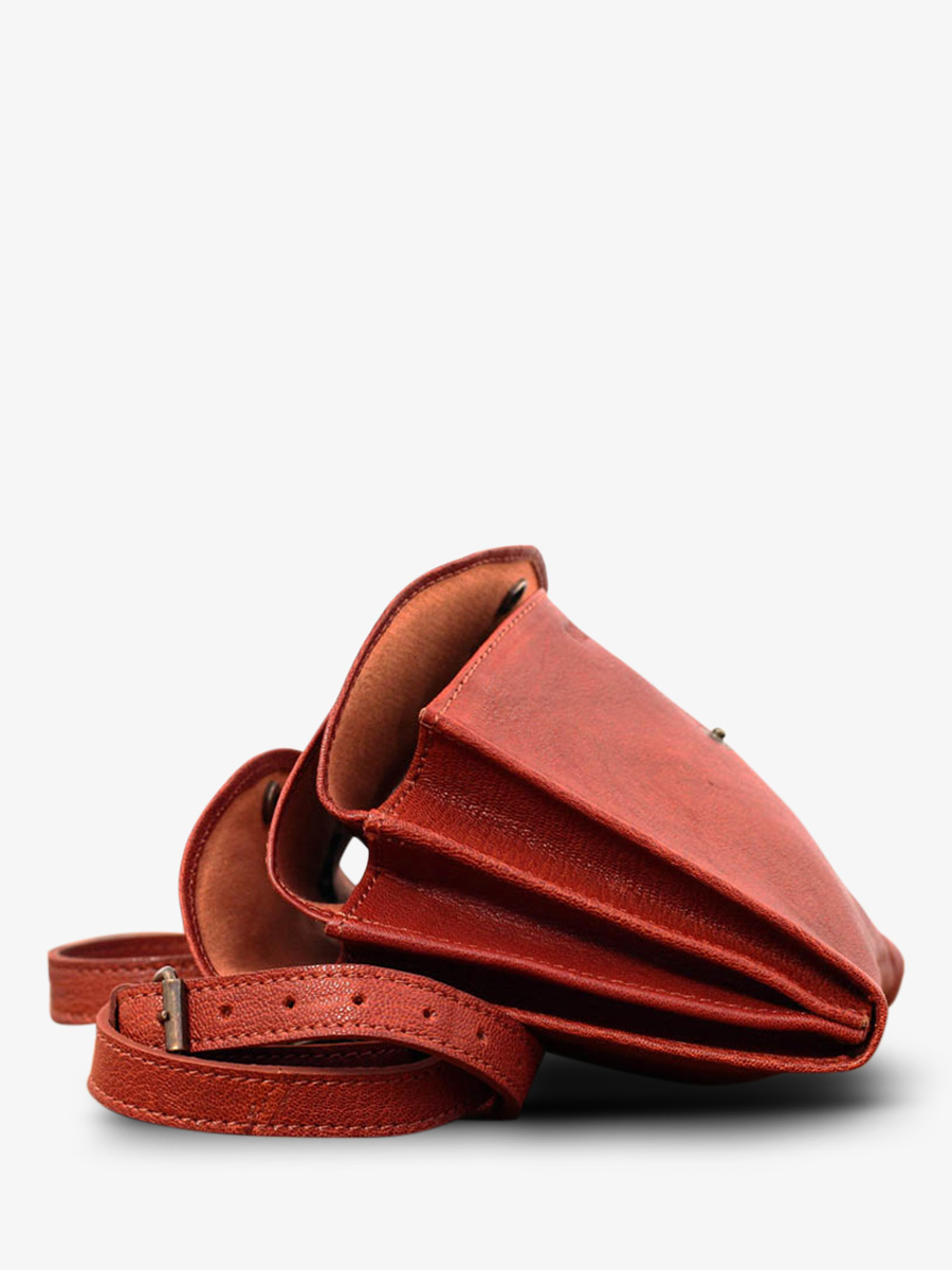 shoulder-bags-for-women-brown-interior-view-picture-laminaudiere-middle-brown-paul-marius-3760125330969