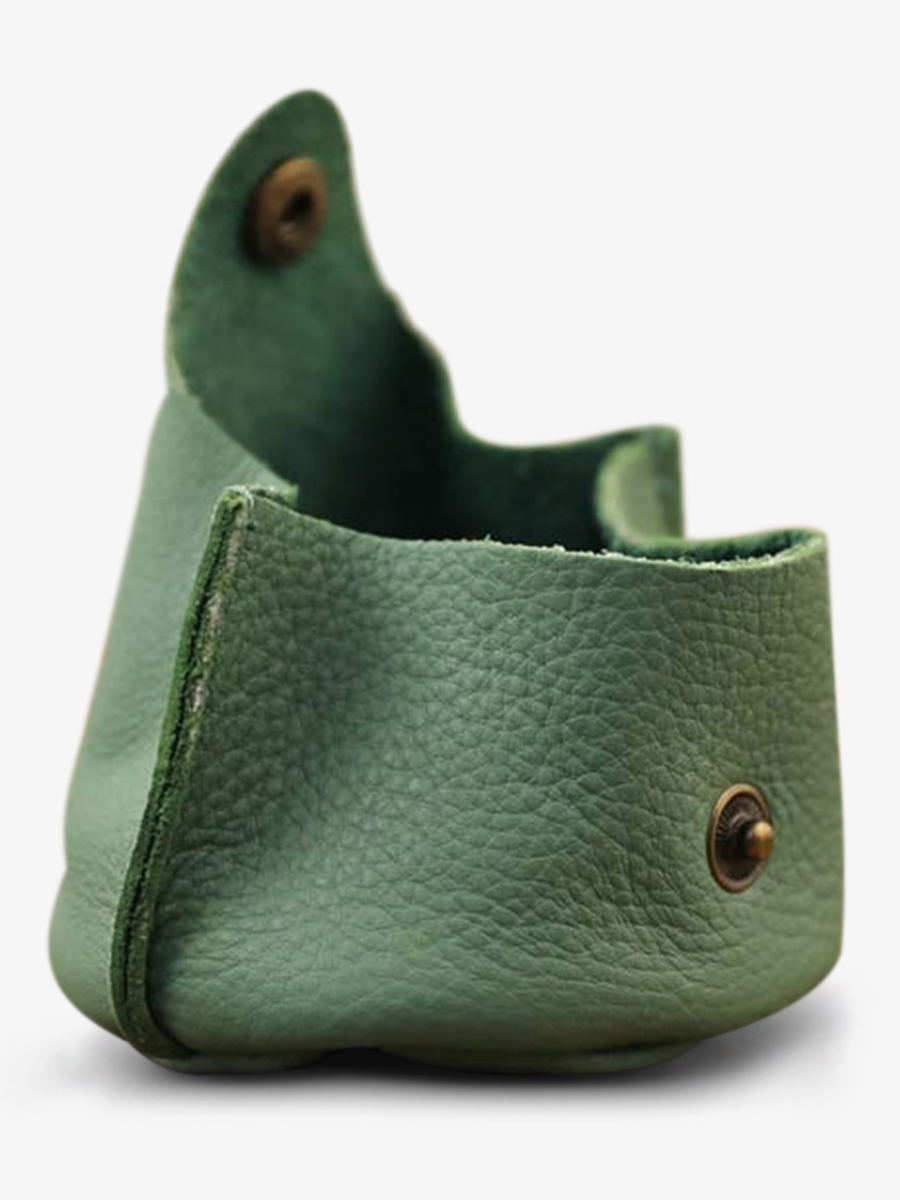 leather-purse-for-men-green-interior-view-picture-lescarcelle-almond-green-paul-marius-3760125333380