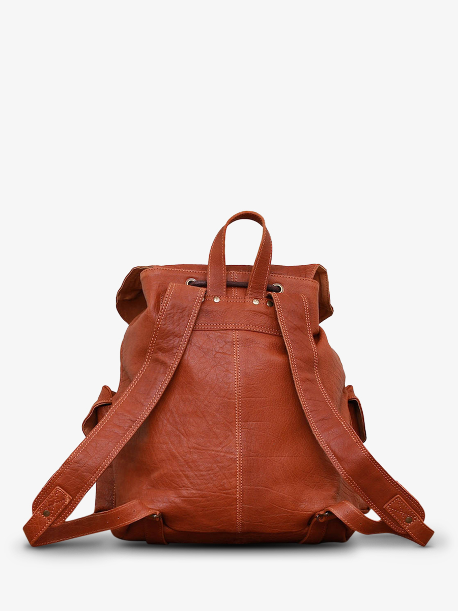 leather-back-pack-brown-rear-view-picture-lemeridien-light-brown-paul-marius-3760125332536