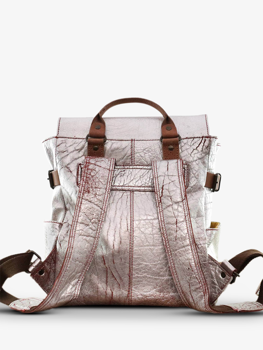 leather-back-pack-silver-rear-view-picture-laudacieux-brick-silver-paul-marius-3760125334622